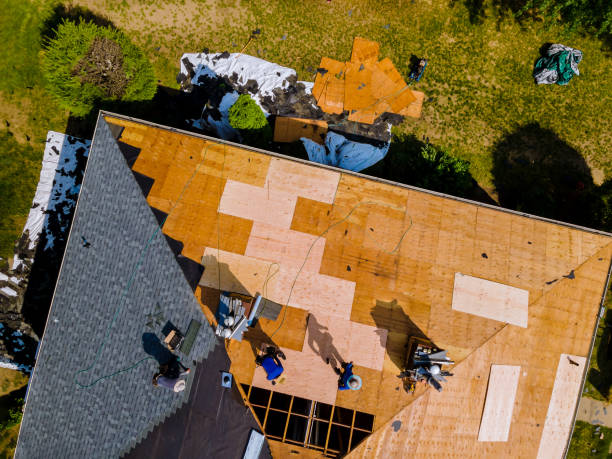 Best Roof Gutter Cleaning  in Anderson, IN