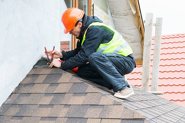 Best Roof Gutter Cleaning  in Anderson, IN
